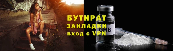 прущие грибы Вяземский